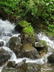 Rio savegre Waterfall