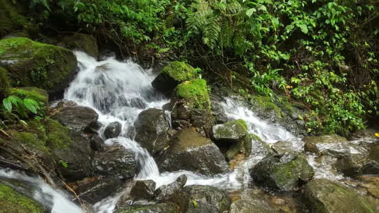 Rio savegre Waterfall