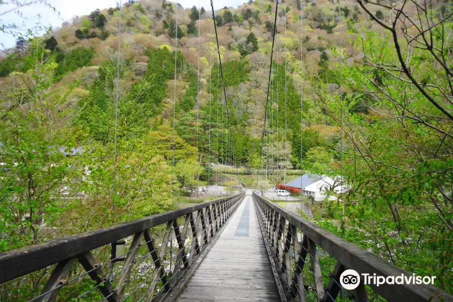 Nanatsuiwa Suspension Bridge