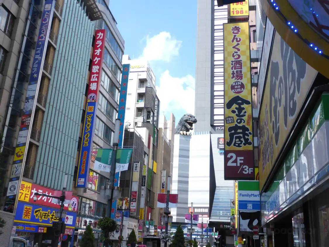 Hotels near Godzilla Head