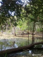 Reserva de la Biosfera de Calakmul
