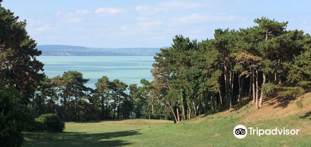 Somogy Travel Guide 2024 Things to Do, What To Eat & Tips