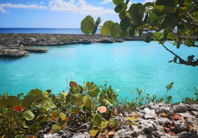 Cienaga de Zapata
