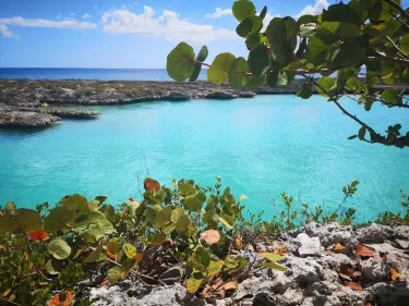 Cienaga de Zapata