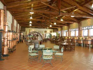 Distillerie Berta