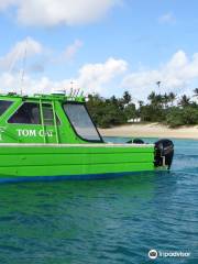 Swimming with Whales at Sandy Beach Resort