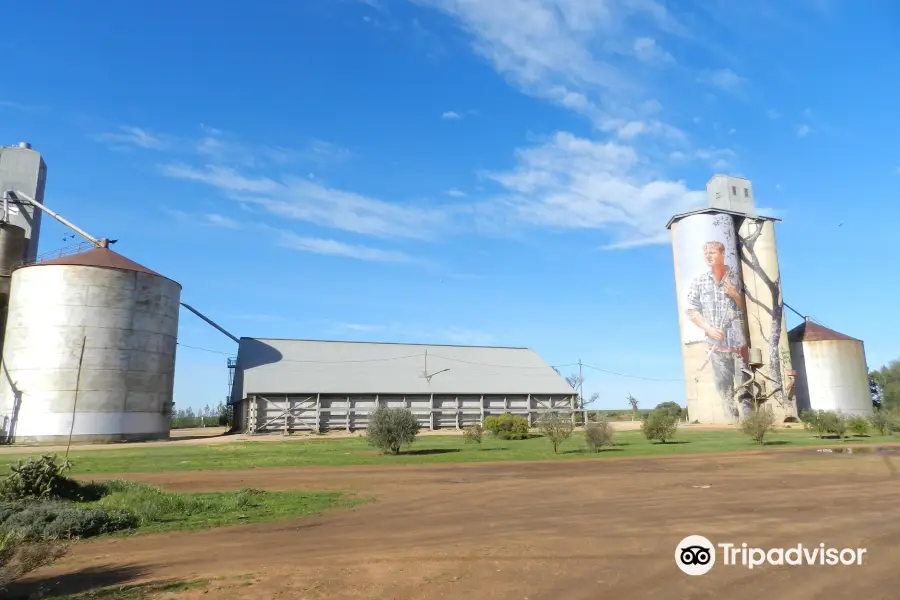 Patchewollock Silo Art