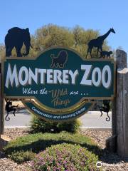 Monterey Zoo