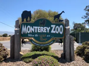 Monterey Zoo