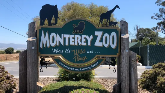 Monterey Zoo