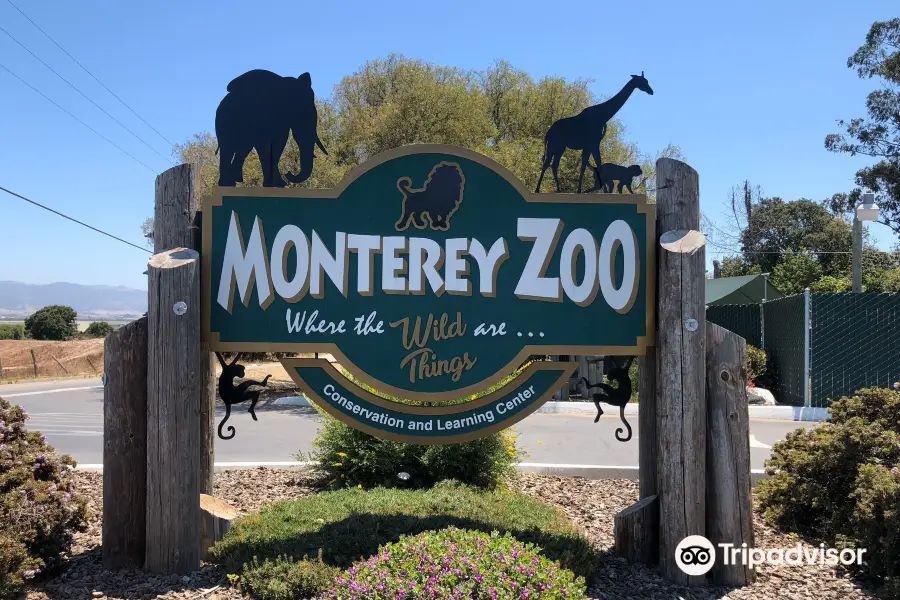 Monterey Zoo
