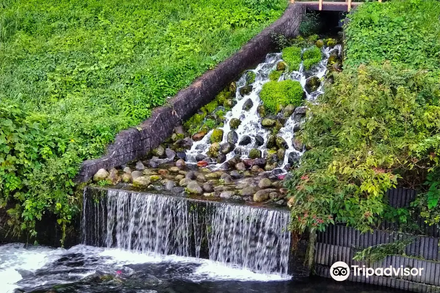 Myoonsawa Special Green Conservation Area