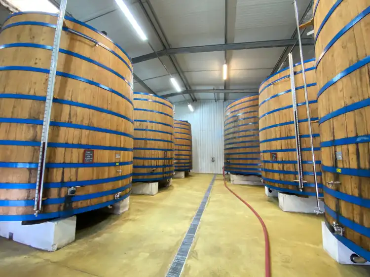 Hotels in Saint-Sulpice-de-Royan