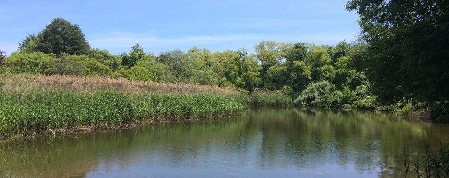 Gardiner County Park