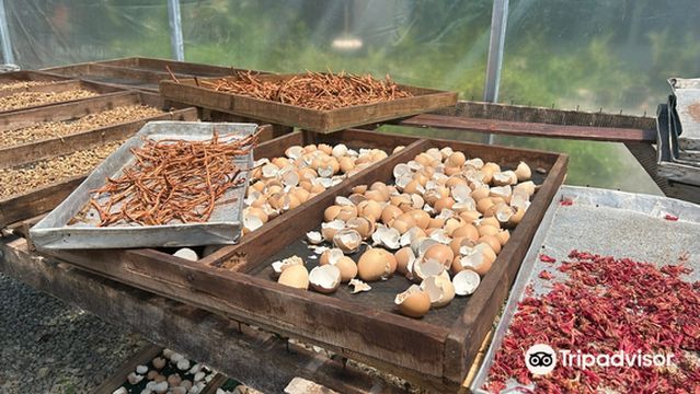 Villa Vanilla Spice Tour and Shop