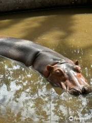 Zoologico de Vallarta