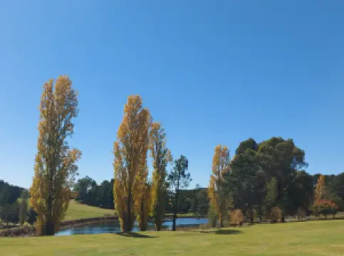 The Wentworth Orange