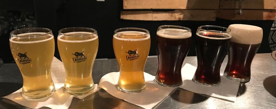 Aurochs Brewing Company
