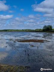 McLaughlin Bay Wildlife Reserve