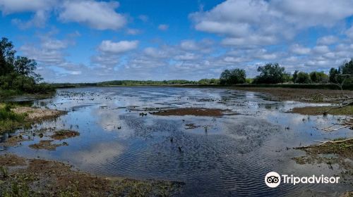 McLaughlin Bay Wildlife Reserve