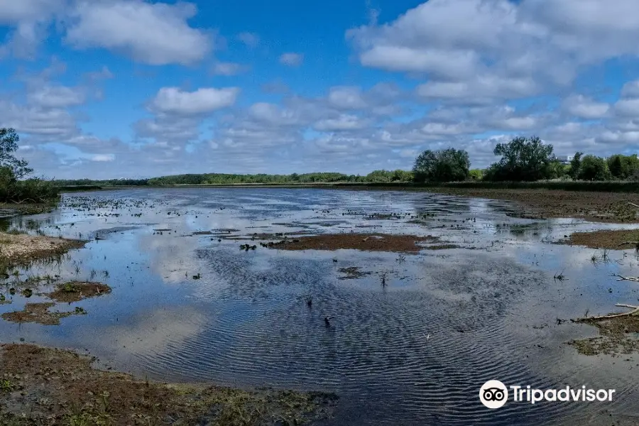 McLaughlin Bay Wildlife Reserve