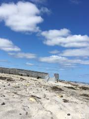 Duxbury Beach Park