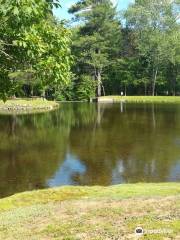 Moose Brook State Park