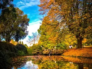 Parc Barbieux