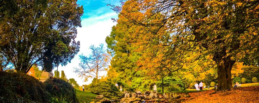 Parc Barbieux