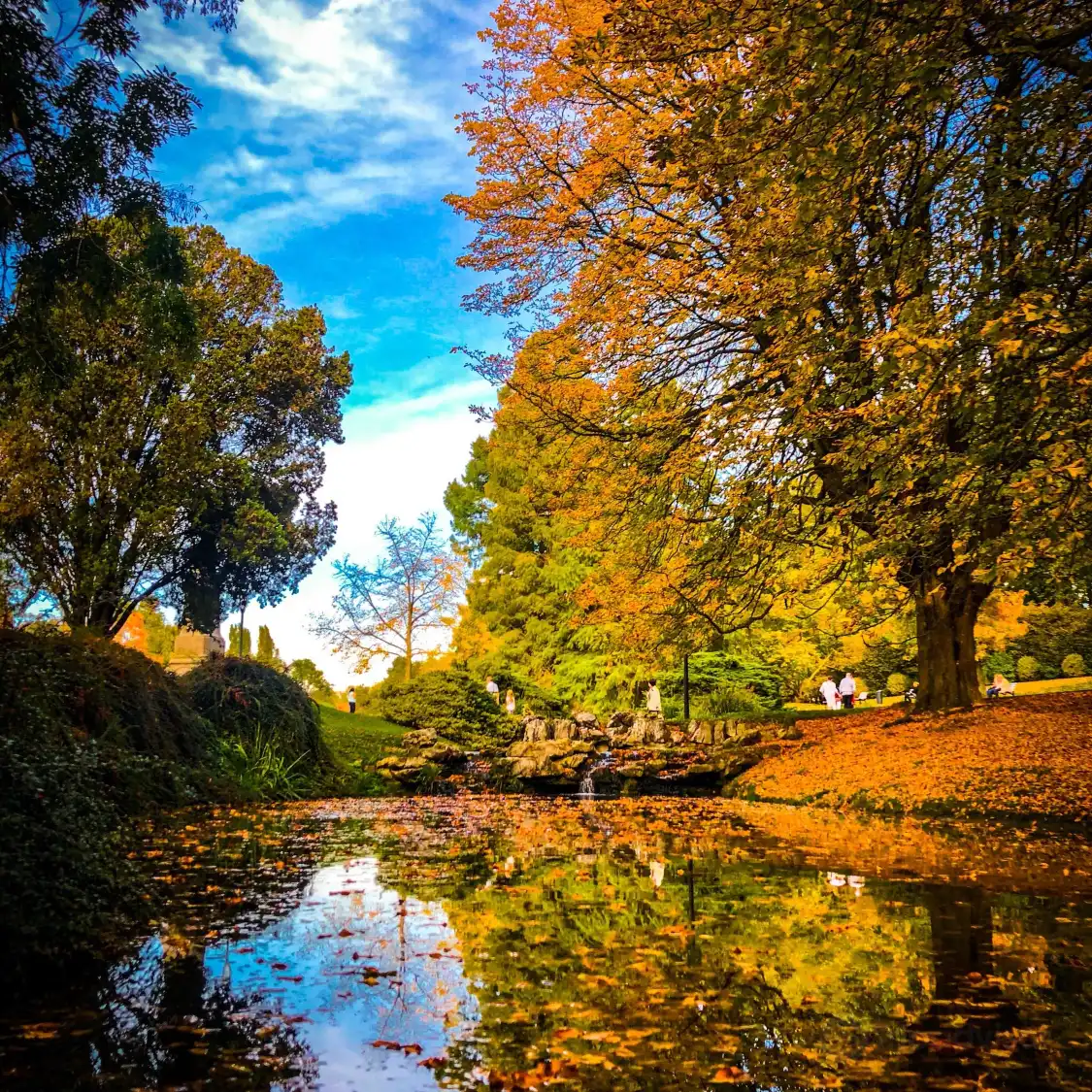 Hotels near Parc Barbieux