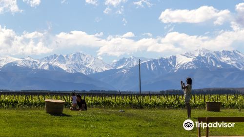 Domaine Bousquet