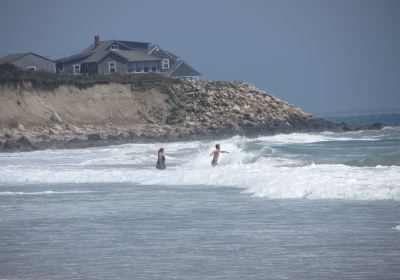 Goosewing Beach Preserve