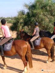 Pinetrees Horse Riding