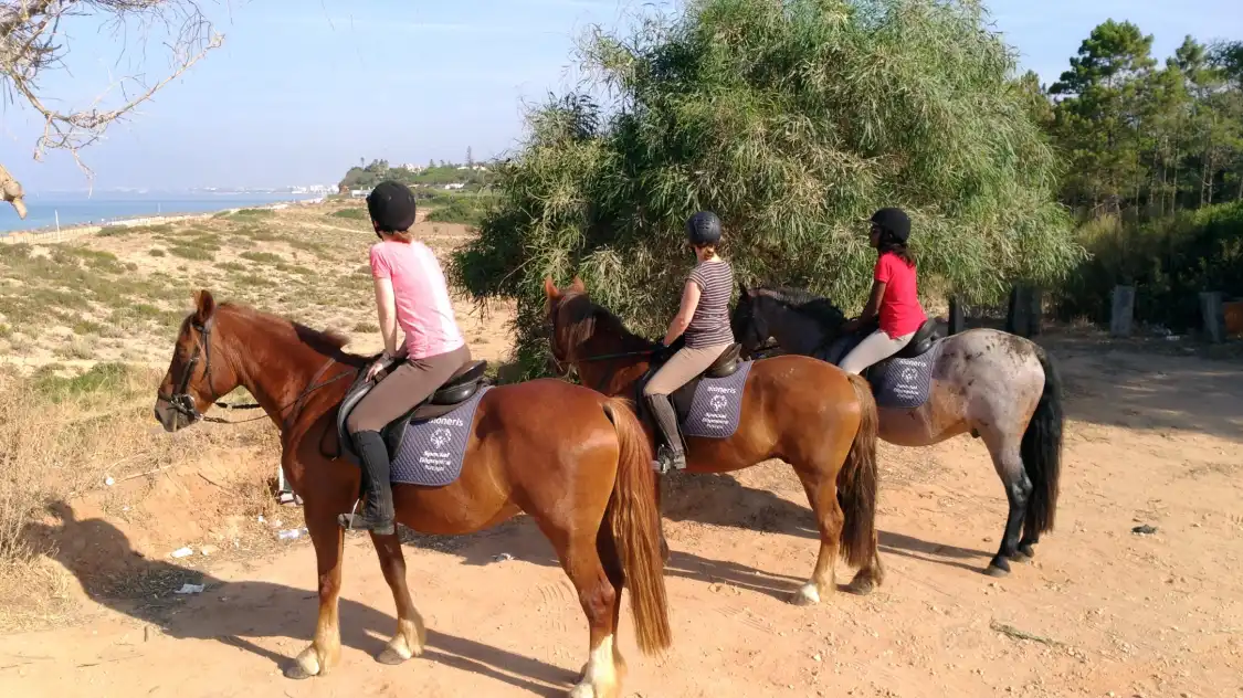 Hotels near Pinetrees Horse Riding