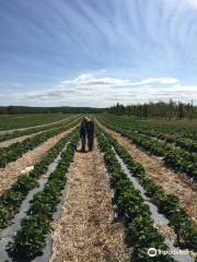 Samascott Orchards