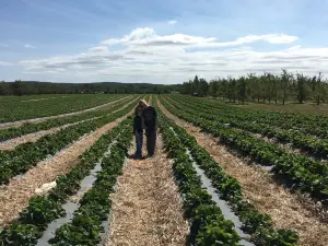 Samascott Orchards