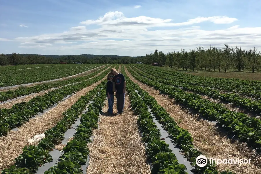 Samascott Orchards