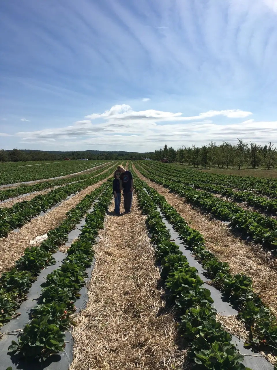 1_Samascott Orchards