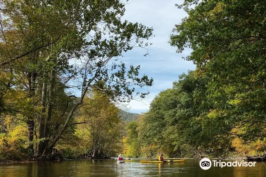 Battenkill Valley Outdoors