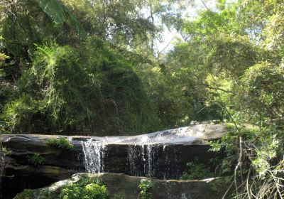 Dundundra Falls Reserve