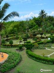 カイユ植物園