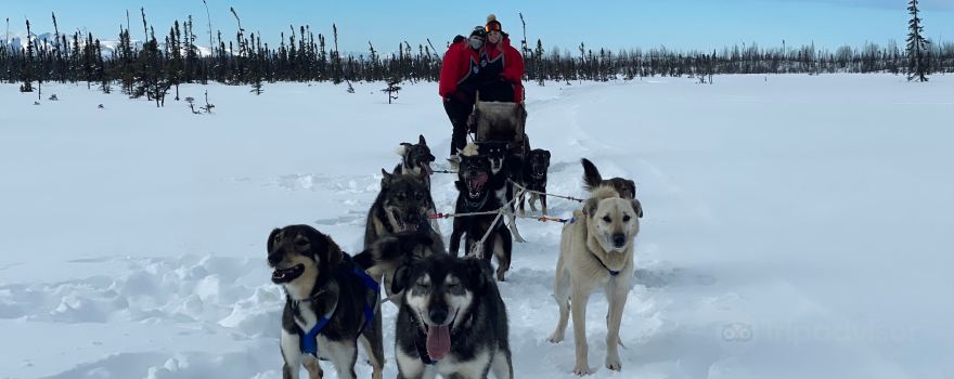 Happy Trails Kennel