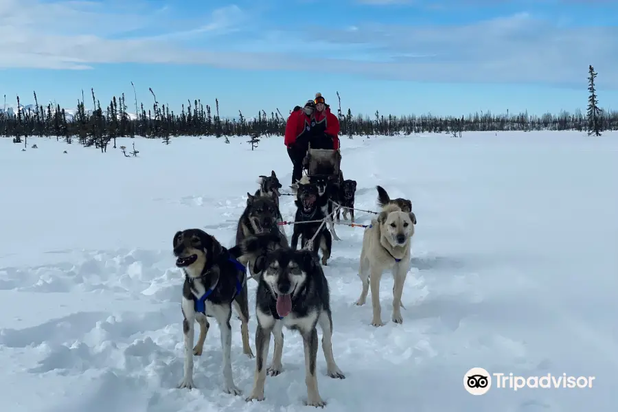 Happy Trails Kennel