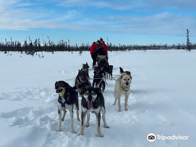 Happy Trails Kennel