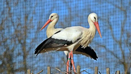 イッティコ・パラディーゾ公園