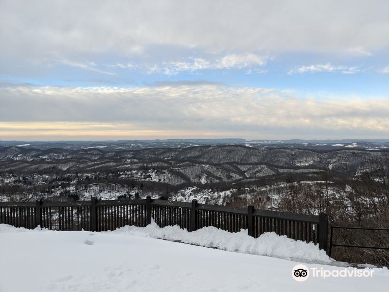 Voli Charlotte Bluefield