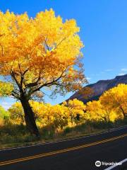 Jemez Trail National Scenic Byway