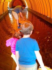 Berlin Fish Hatchery