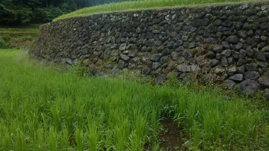 Koda Rice Terraces