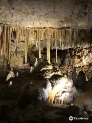 Parque nacional Cuevas de Naracoorte